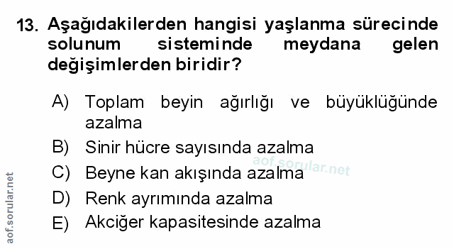 Soru 13