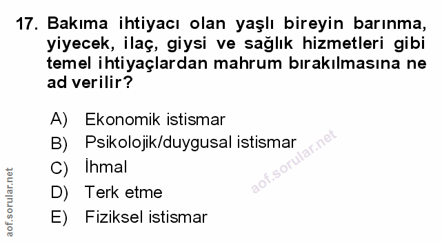 Soru 17