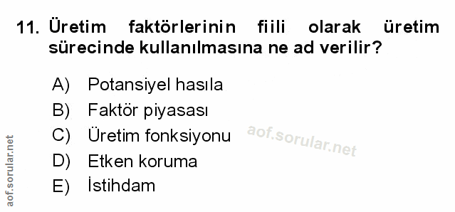 Soru 11