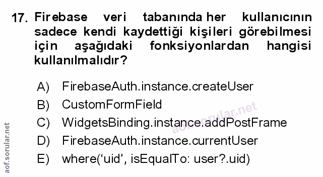 Soru 17