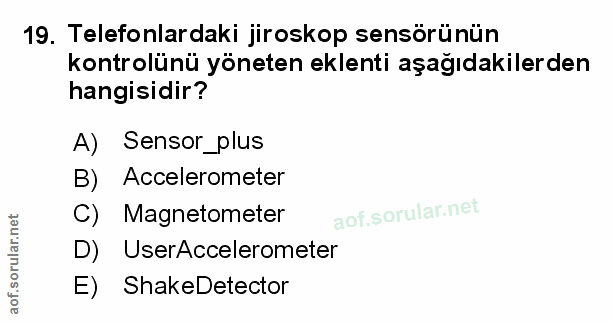 Soru 19