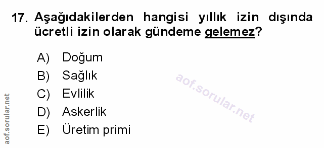 Soru 17