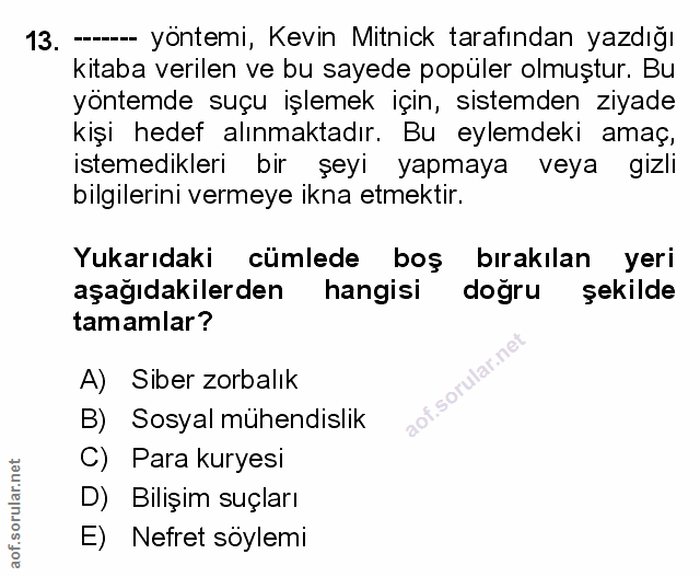Soru 13