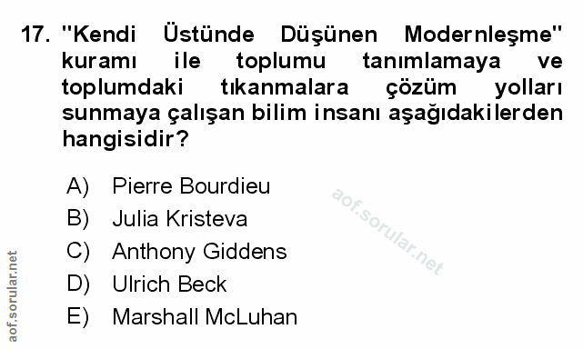 Soru 17