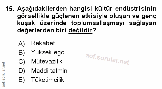 Soru 15