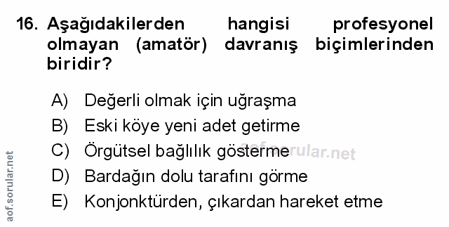 Soru 16