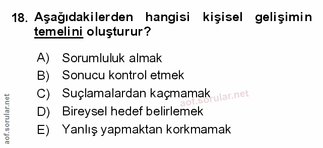 Soru 18