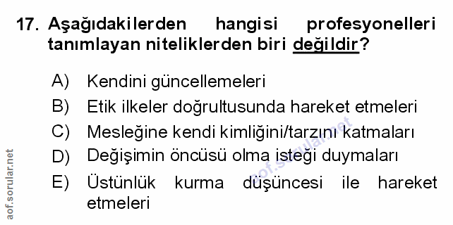 Soru 17