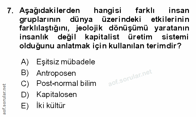 Soru 7
