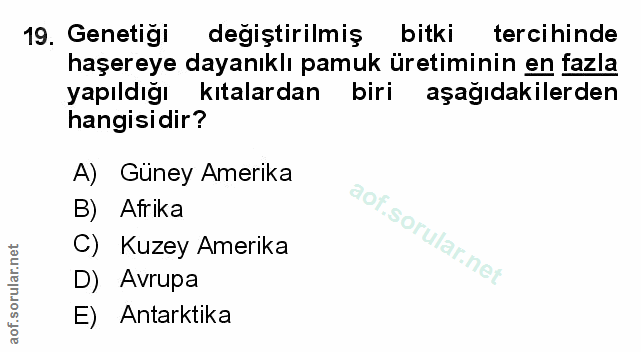 Soru 19