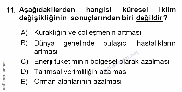 Soru 11