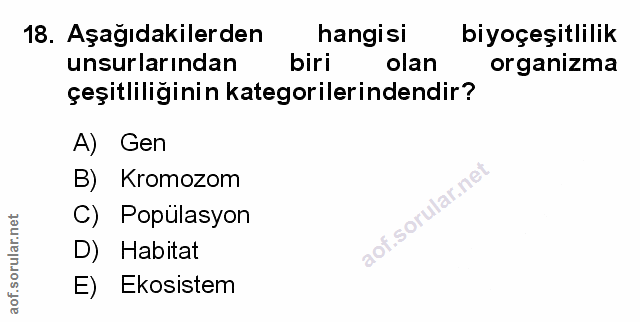 Soru 18