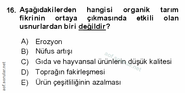 Soru 16