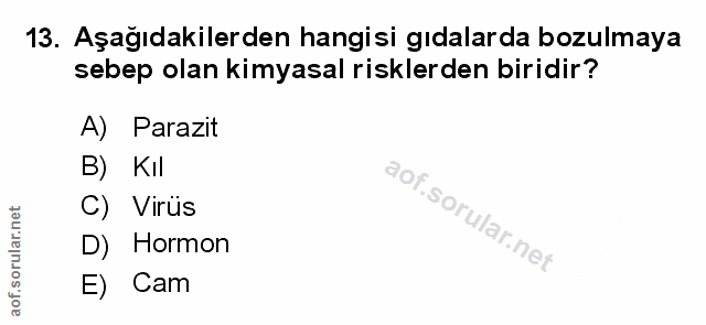 Soru 13
