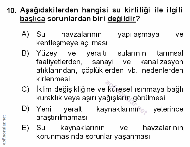 Soru 10