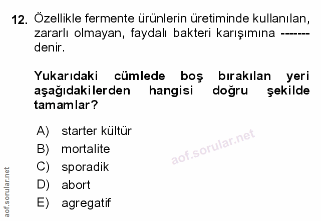 Soru 12