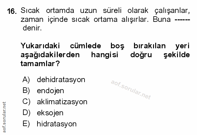 Soru 16