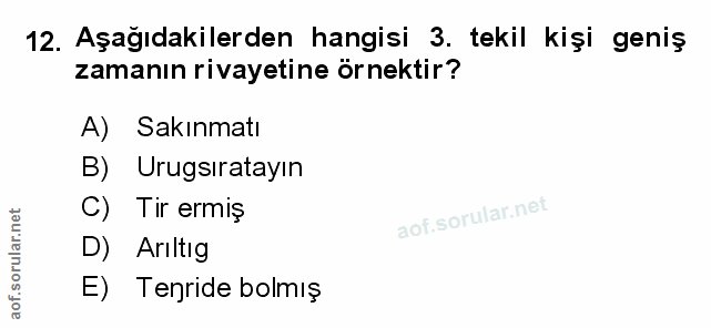 Soru 12