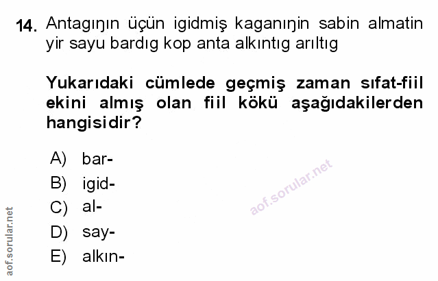 Soru 14