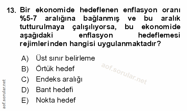 Soru 13