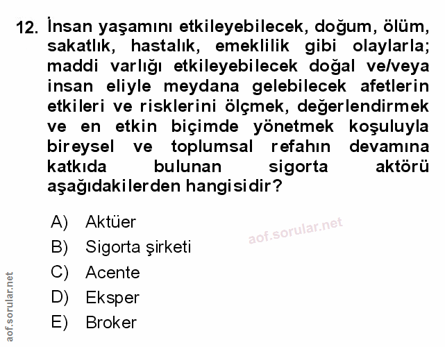 Soru 12