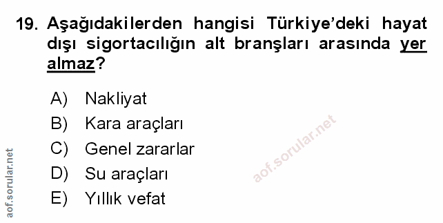Soru 19