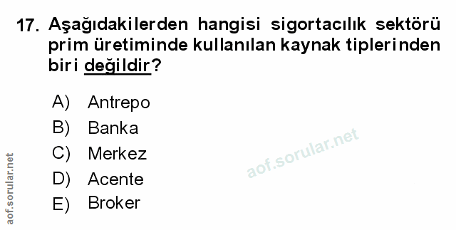 Soru 17