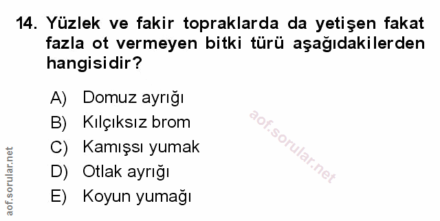 Soru 14
