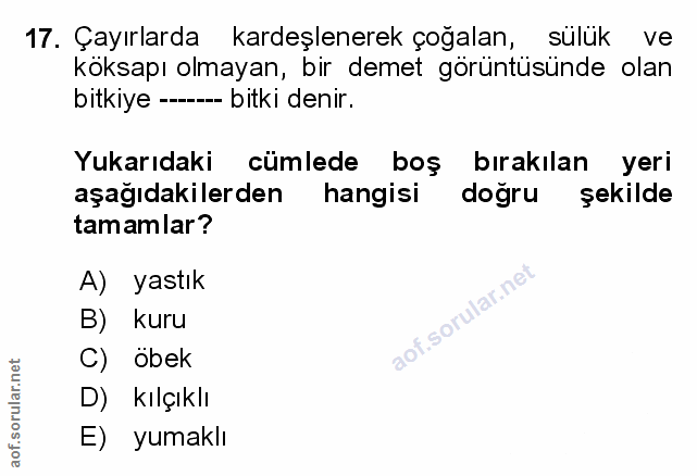 Soru 17