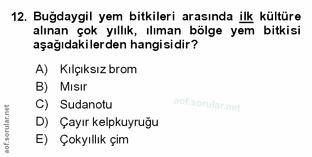 Soru 12