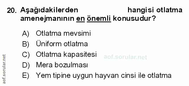 Soru 20