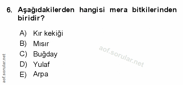 Soru 6