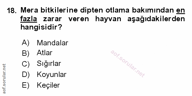 Soru 18