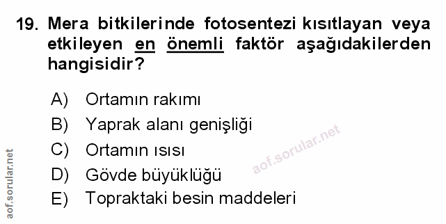 Soru 19