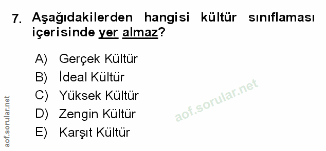 Soru 7