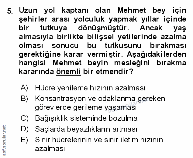 Soru 5