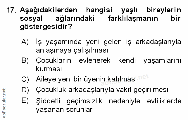 Soru 17
