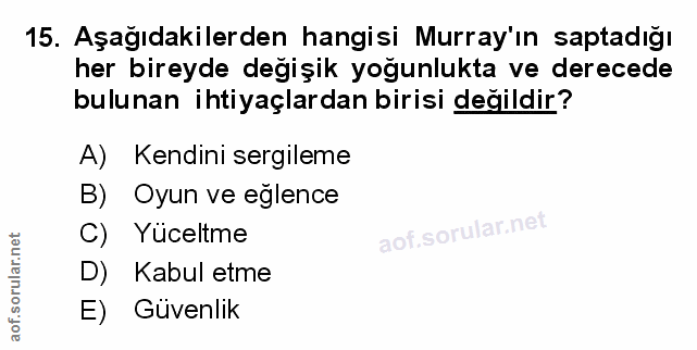 Soru 15