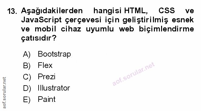 Soru 13