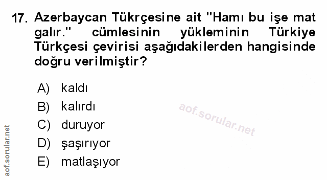 Soru 17