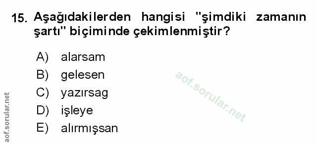 Soru 15