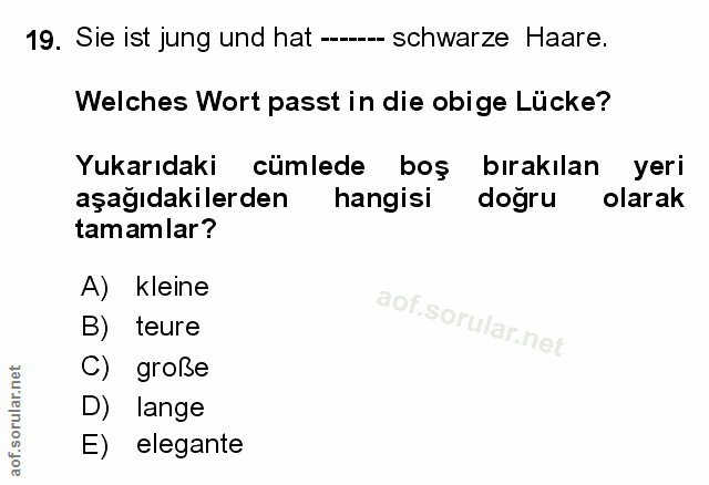 Soru 19