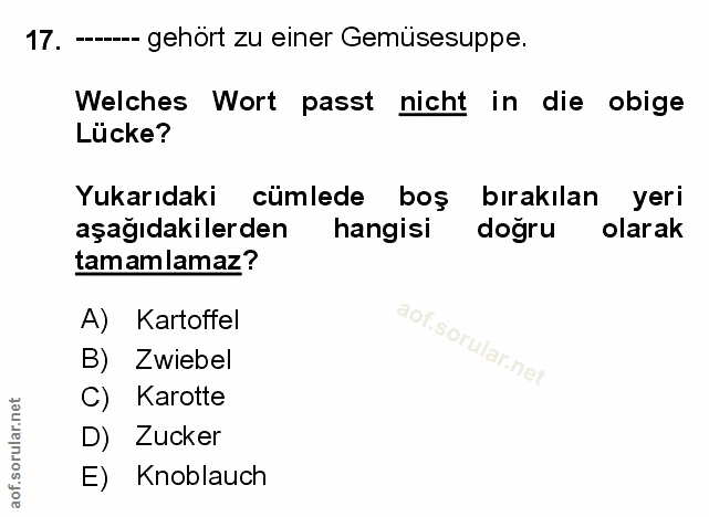 Soru 17