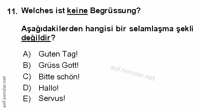 Soru 11