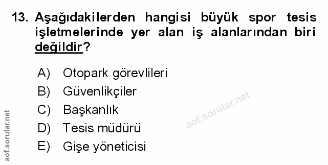 Soru 13