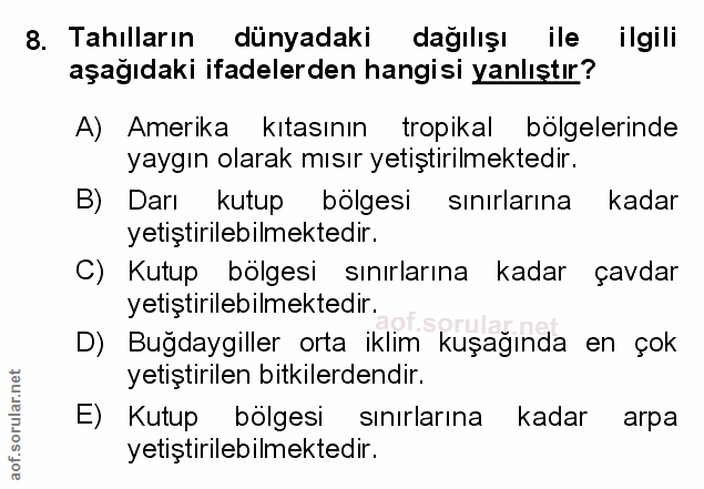Soru 8