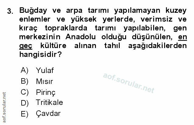 Soru 3