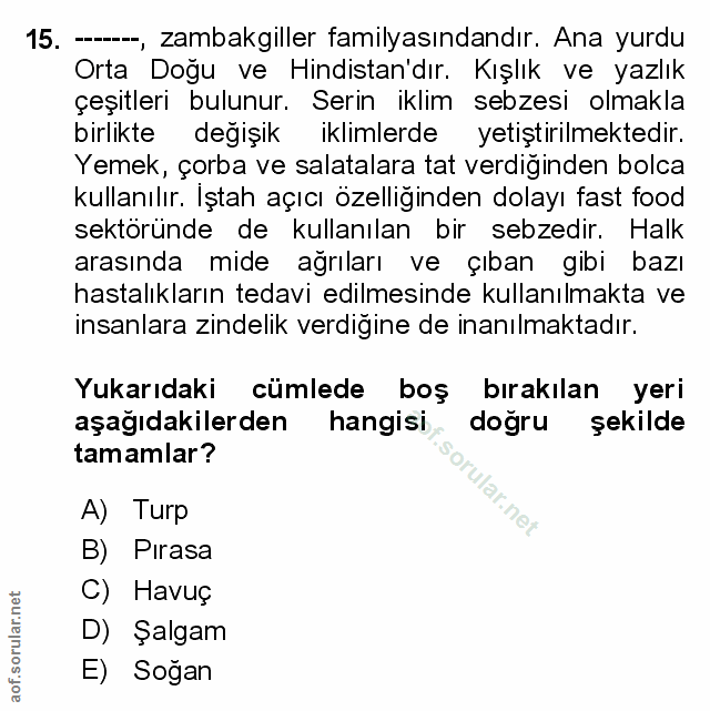 Soru 15