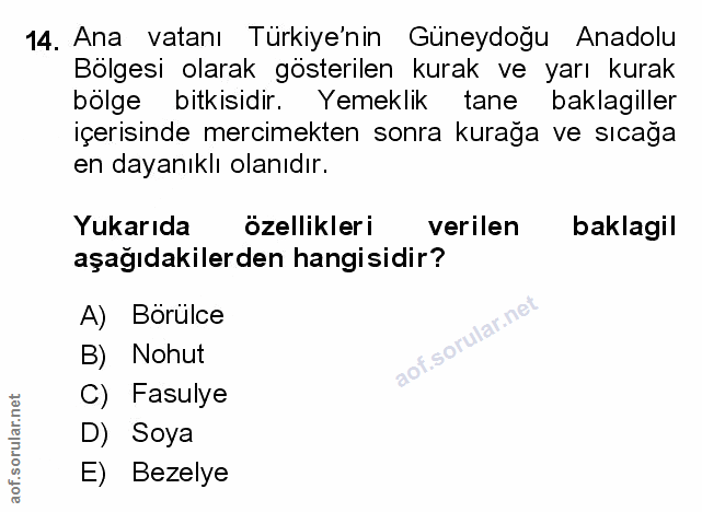 Soru 14