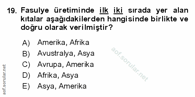Soru 19